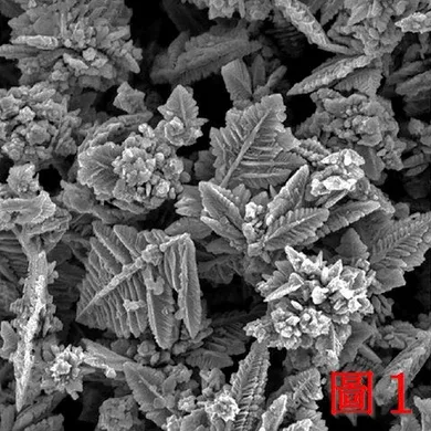 Electron micrograph of fern-like dendritic crystals, the unrolled structure Terravantium keeps